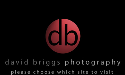 david briggs photography